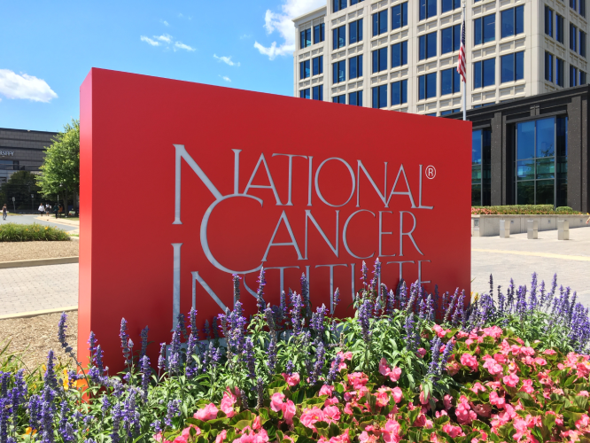 Pic of National Cancer Institue facade