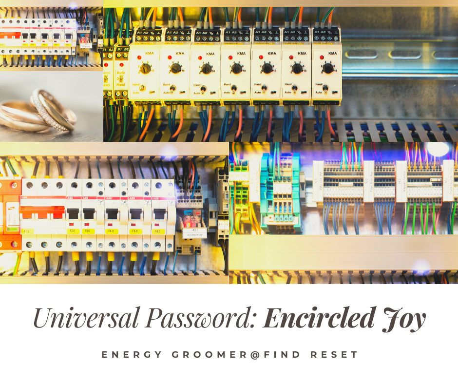 Universal Password: Encircled Joy
