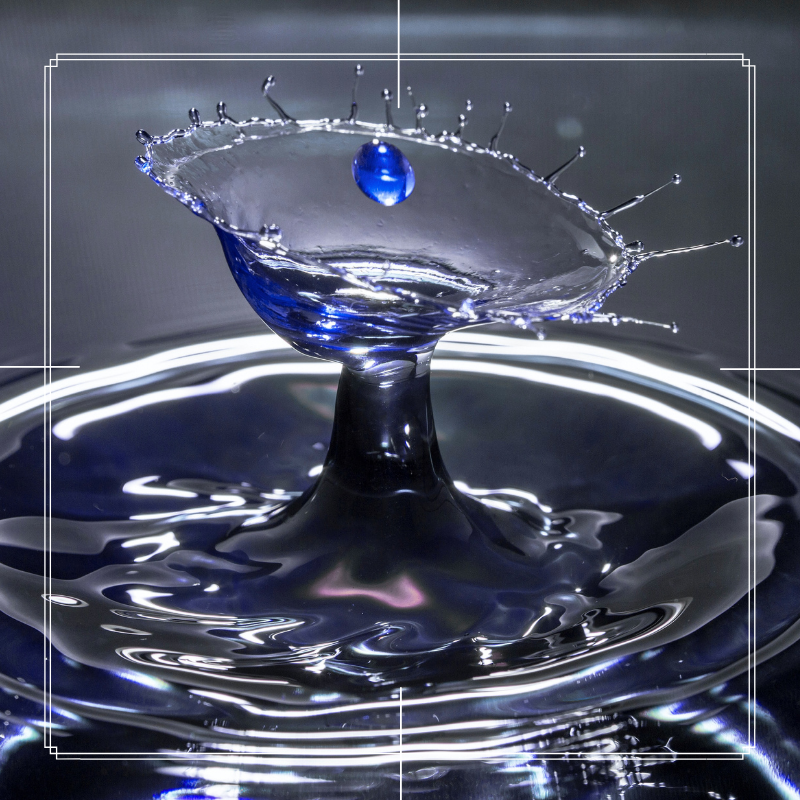 2 True LIfe Case Studies